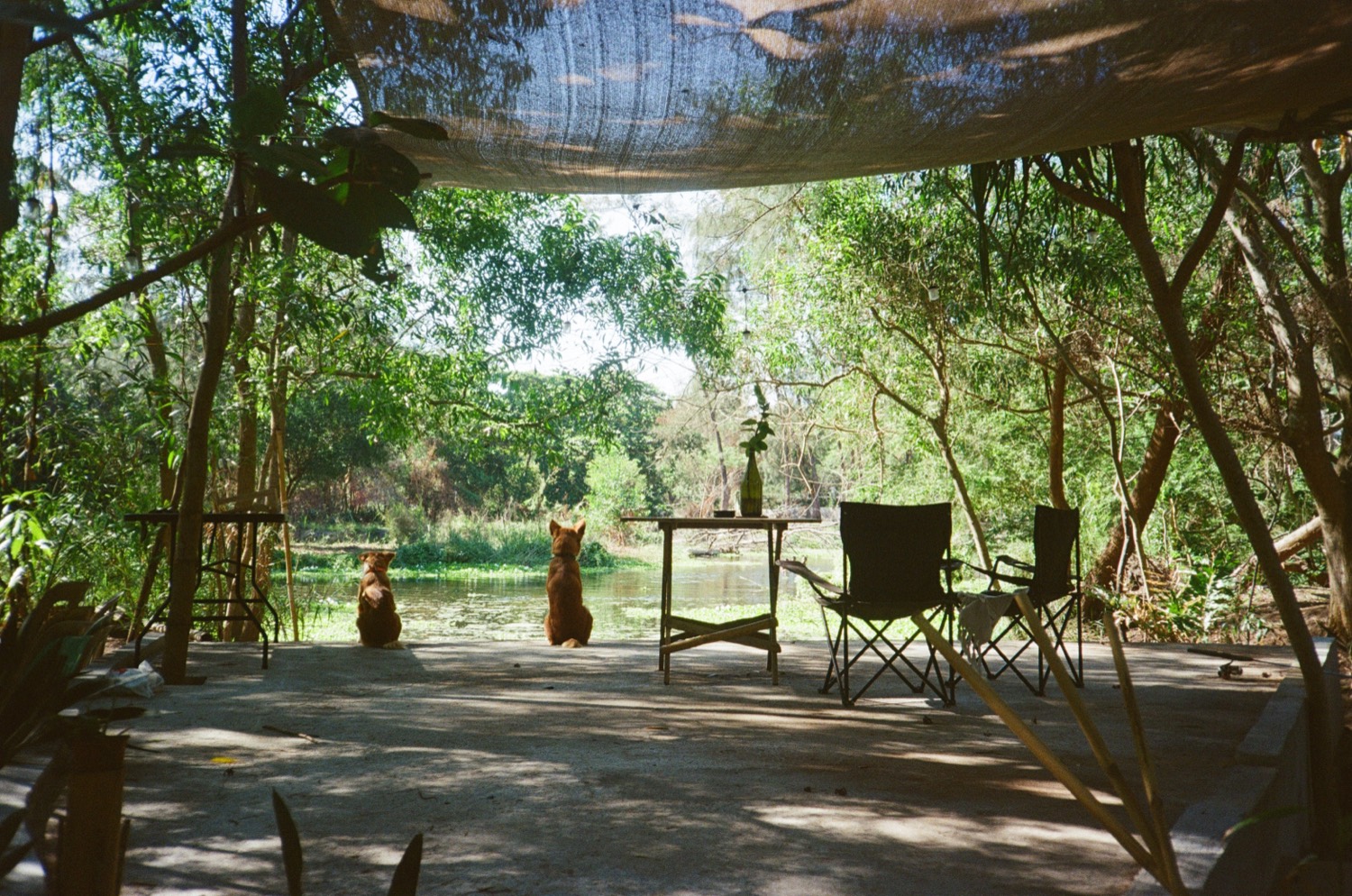 Riverback Sanctuary