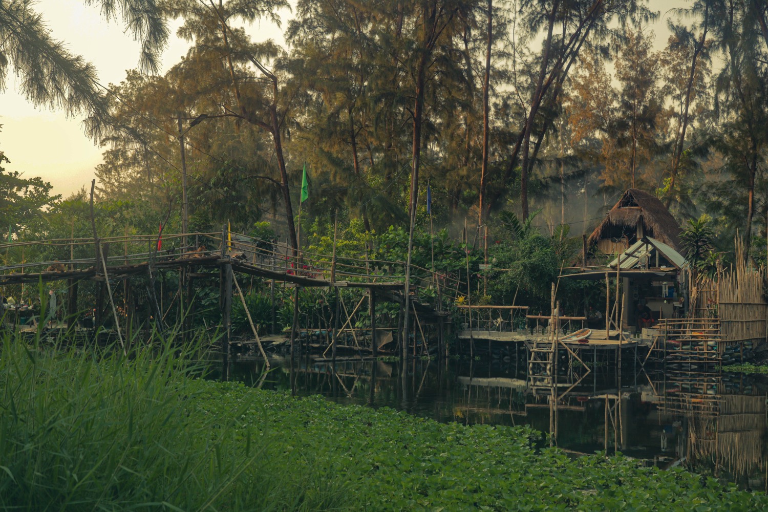 Riverback Sanctuary