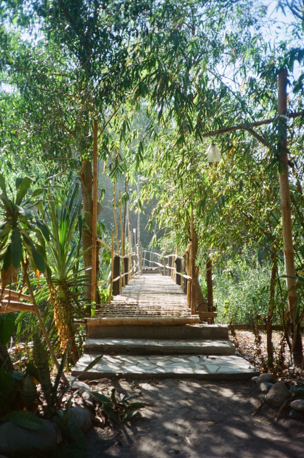 Riverback Sanctuary