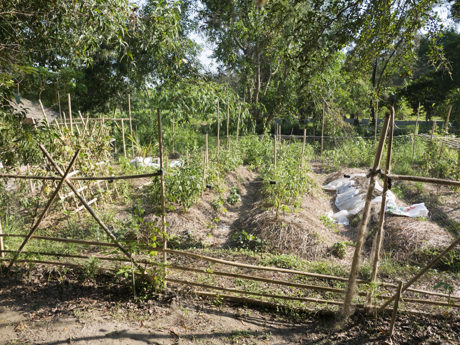 Riverback Sanctuary